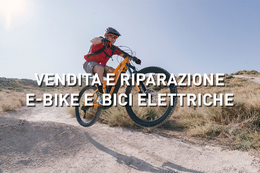 vendita ebike