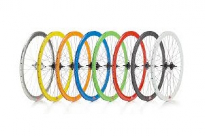 Ruote Fixed 40 mm colorate
